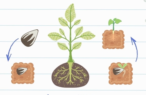 DC Liberec GIVING TUESDAY (1)